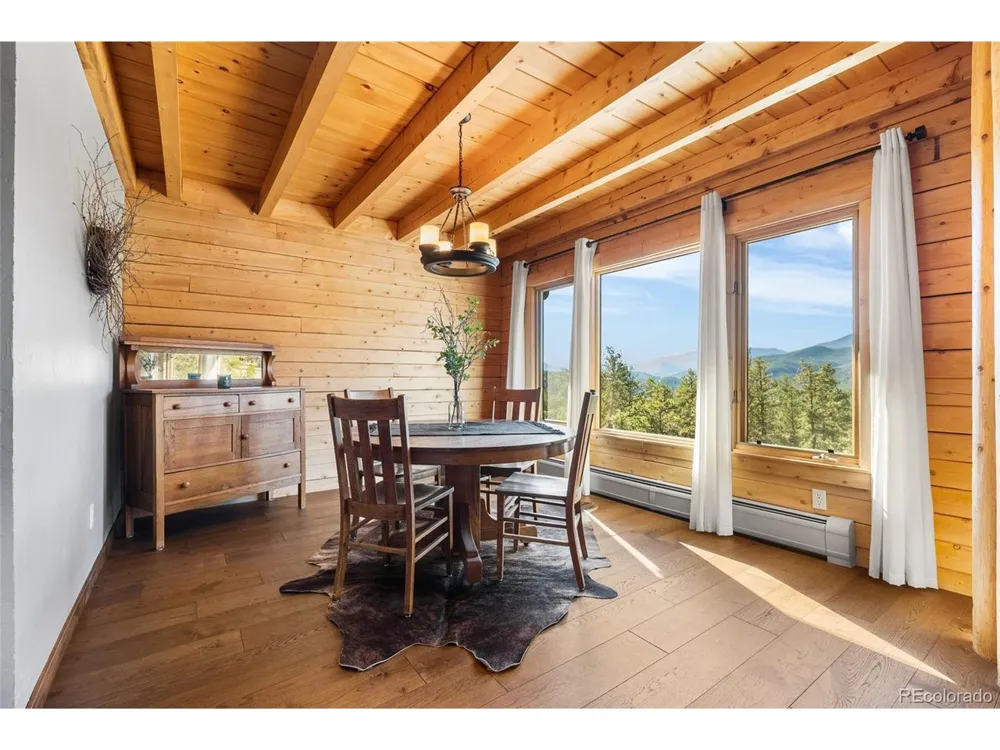 685 Jesse Lane Bailey, CO 80421