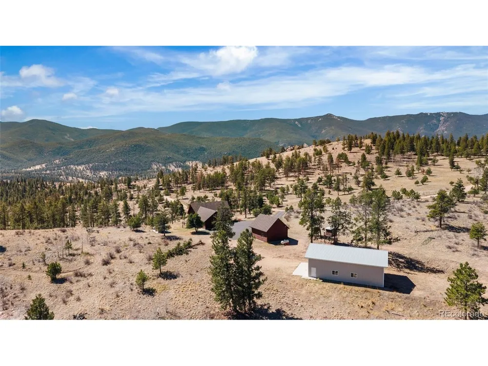 685 Jesse Lane Bailey, CO 80421