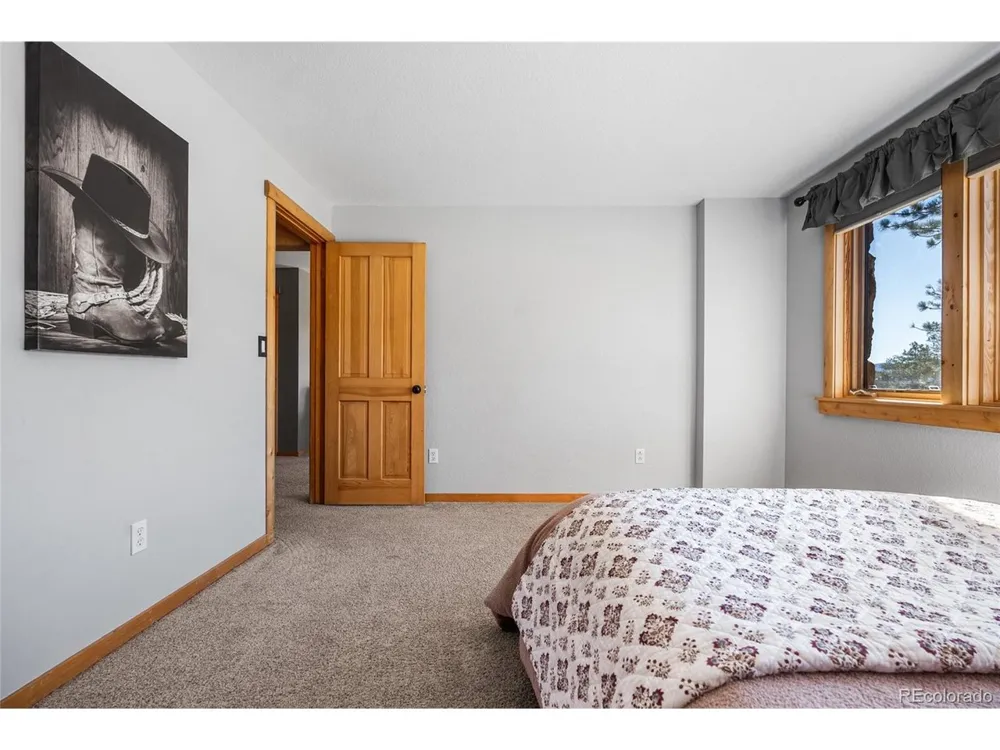 685 Jesse Lane Bailey, CO 80421