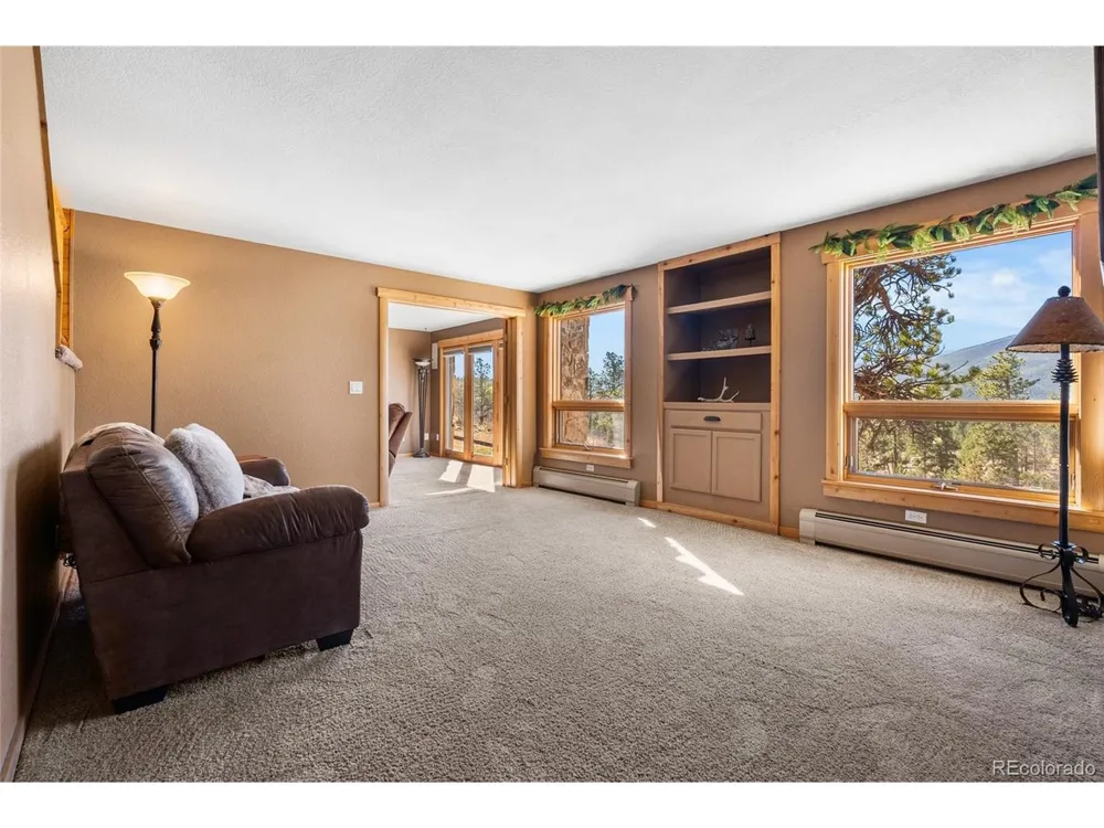 685 Jesse Lane Bailey, CO 80421