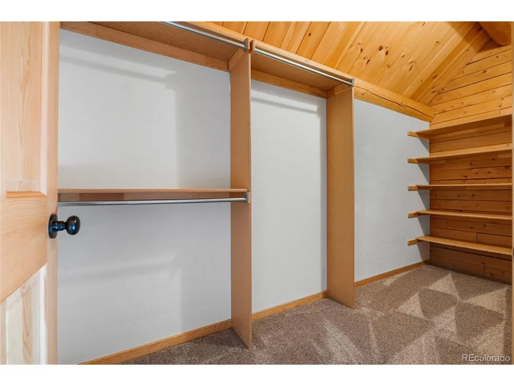 685 Jesse Lane Bailey, CO 80421