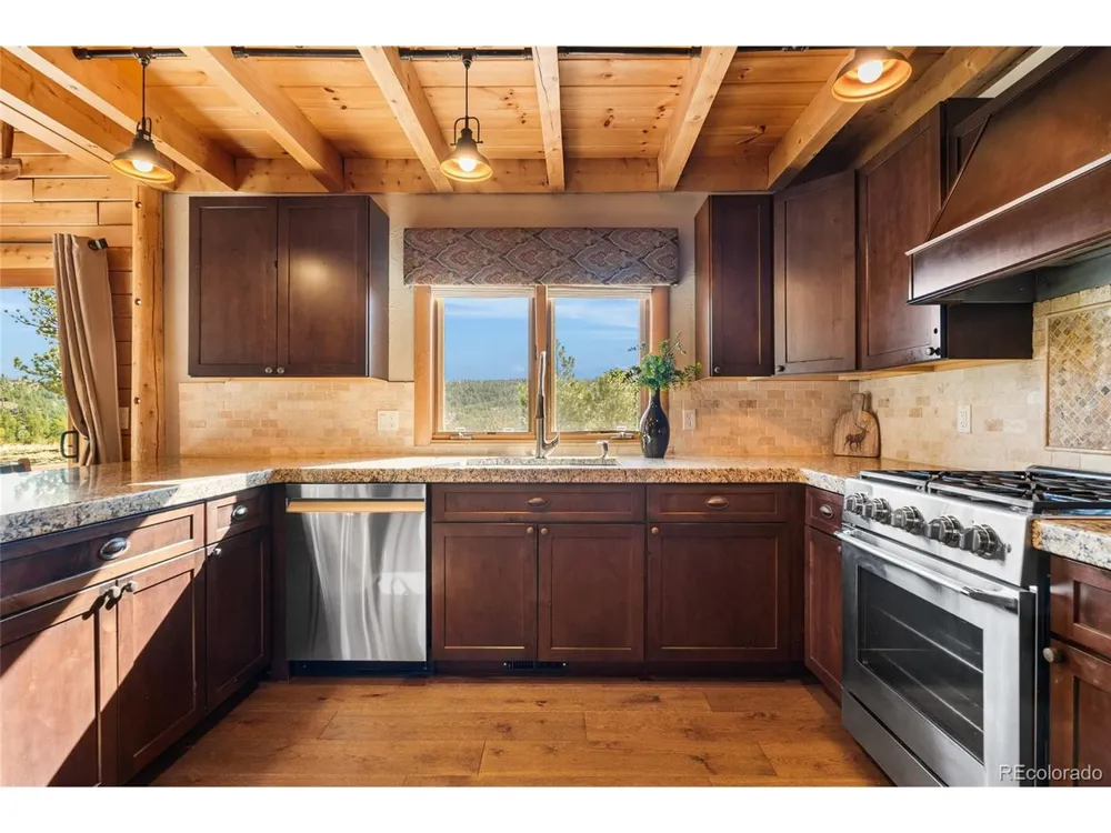 685 Jesse Lane Bailey, CO 80421