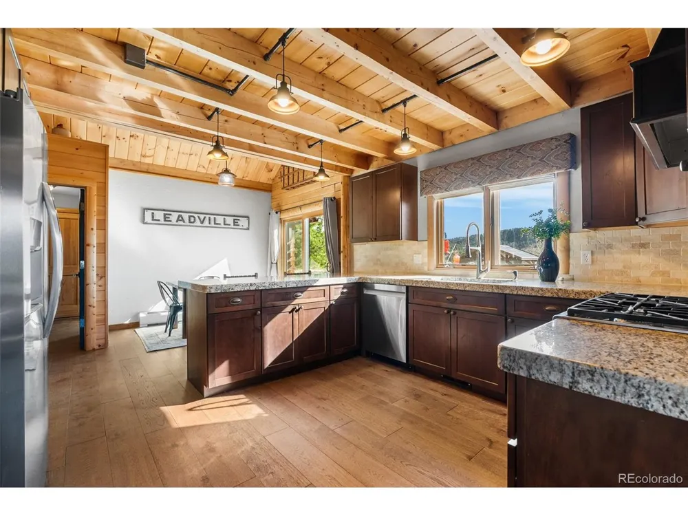 685 Jesse Lane Bailey, CO 80421