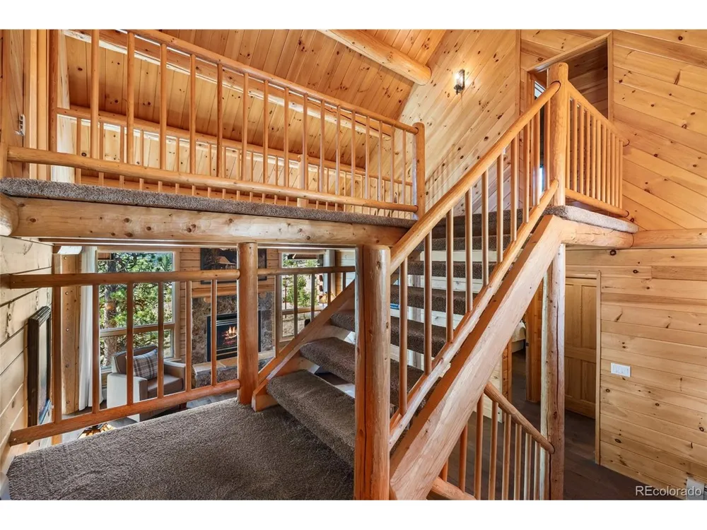 685 Jesse Lane Bailey, CO 80421