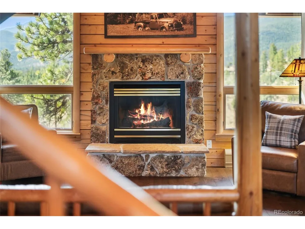 685 Jesse Lane Bailey, CO 80421
