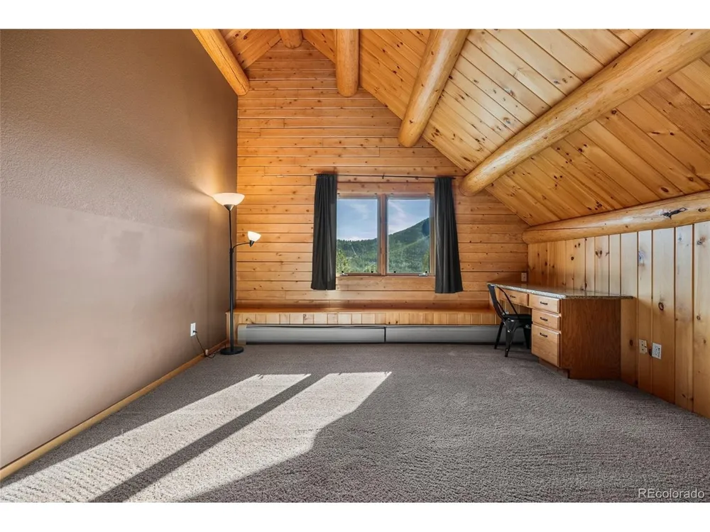 685 Jesse Lane Bailey, CO 80421