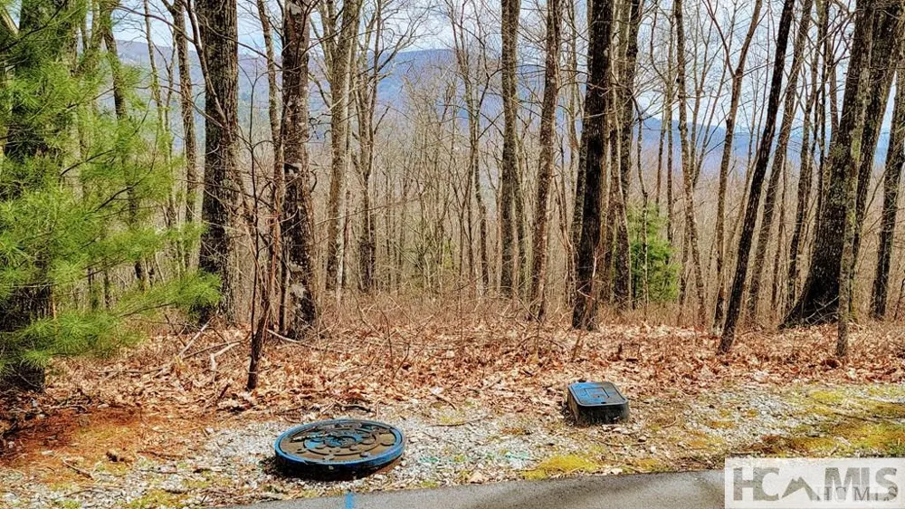 Lot 29 Flyaway Circle Sapphire, NC 28774