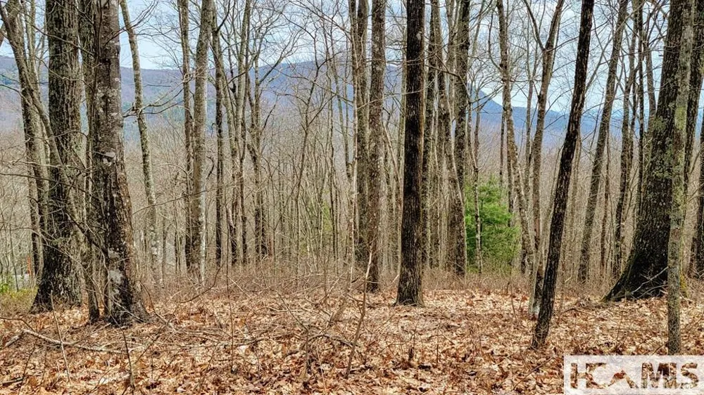 Lot 29 Flyaway Circle Sapphire, NC 28774