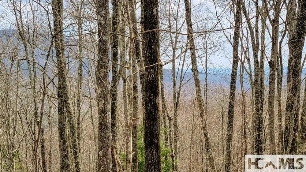 Lot 29 Flyaway Circle Sapphire, NC 28774