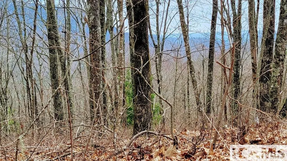 Lot 29 Flyaway Circle Sapphire, NC 28774