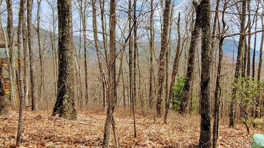 Lot 29 Flyaway Circle Sapphire, NC 28774