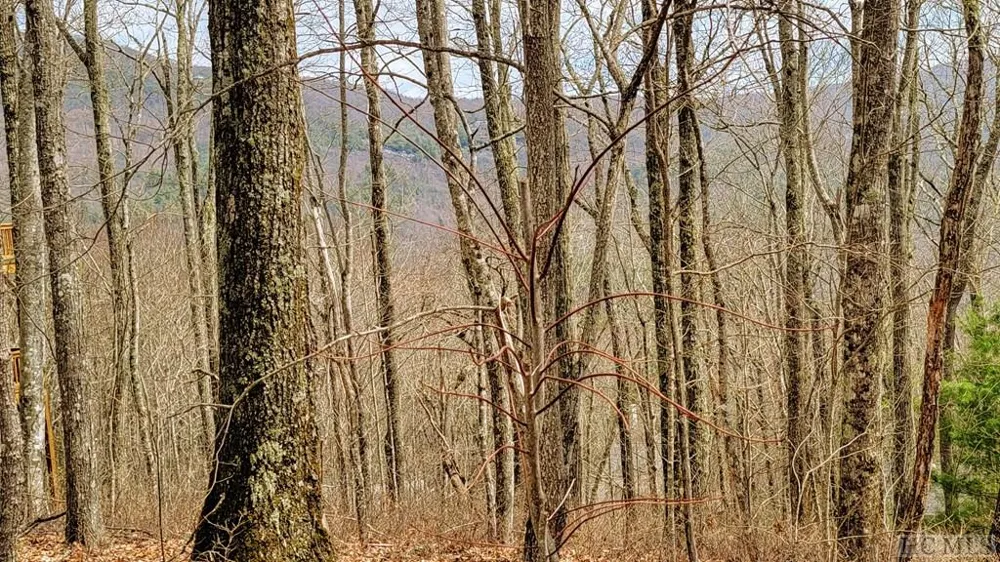 Lot 29 Flyaway Circle Sapphire, NC 28774