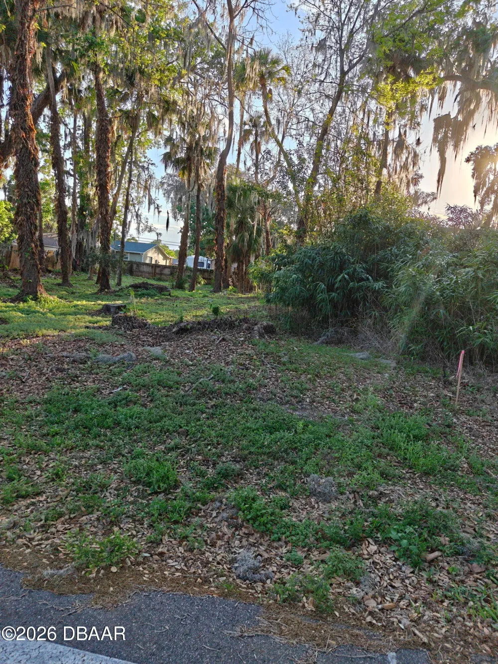 2214 Needle Palm Drive Edgewater, FL 32141