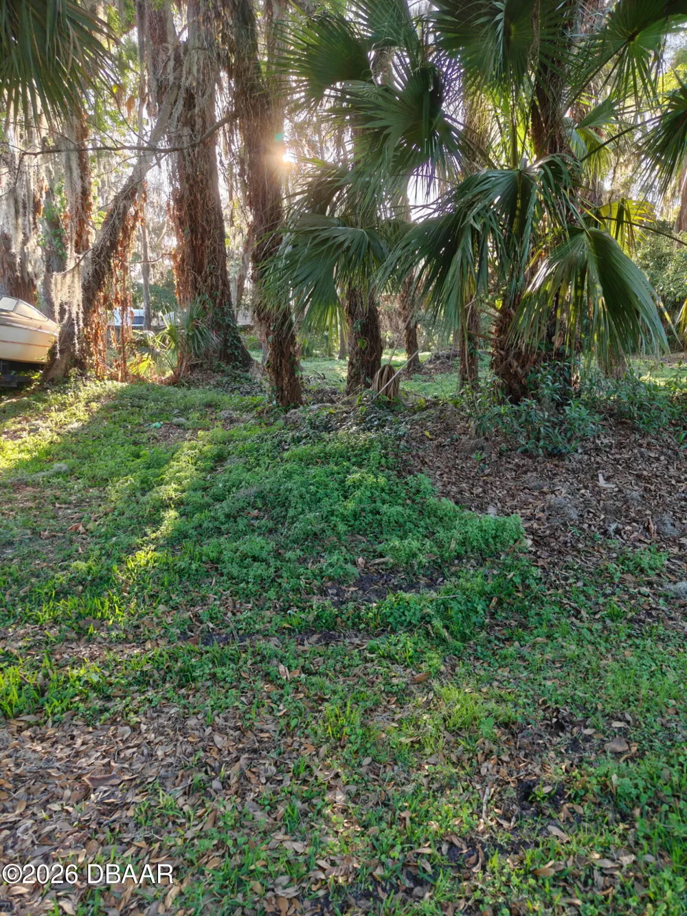 2214 Needle Palm Drive Edgewater, FL 32141