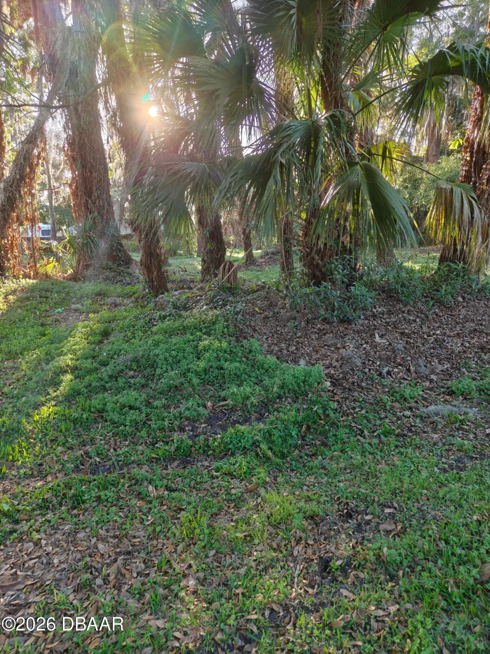 2214 Needle Palm Drive Edgewater, FL 32141
