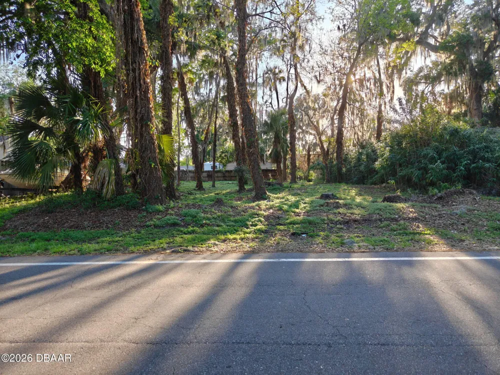 2214 Needle Palm Drive Edgewater, FL 32141