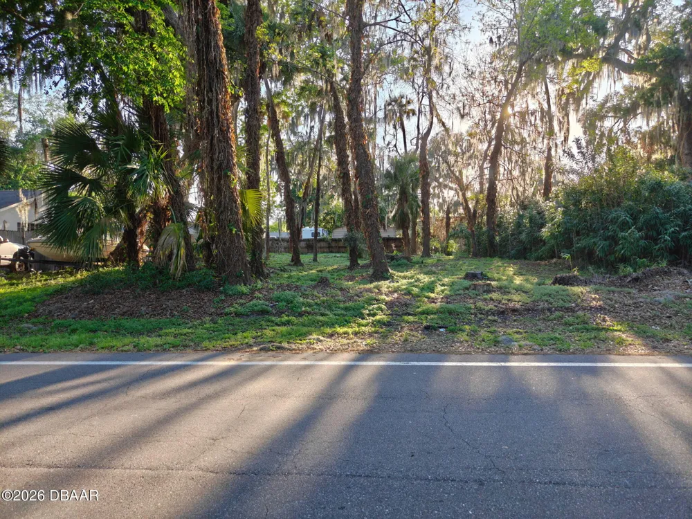 2214 Needle Palm Drive Edgewater, FL 32141