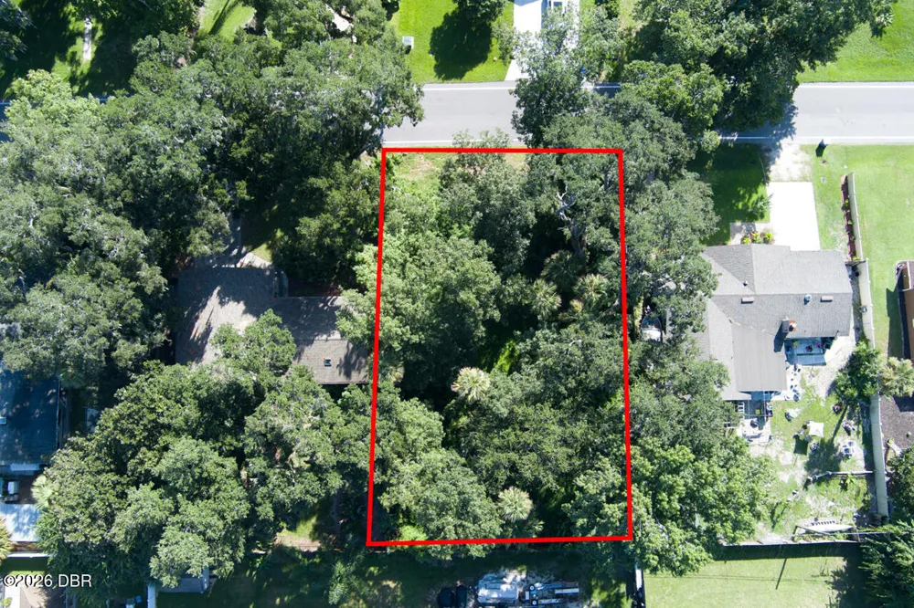 2214 Needle Palm Drive Edgewater, FL 32141