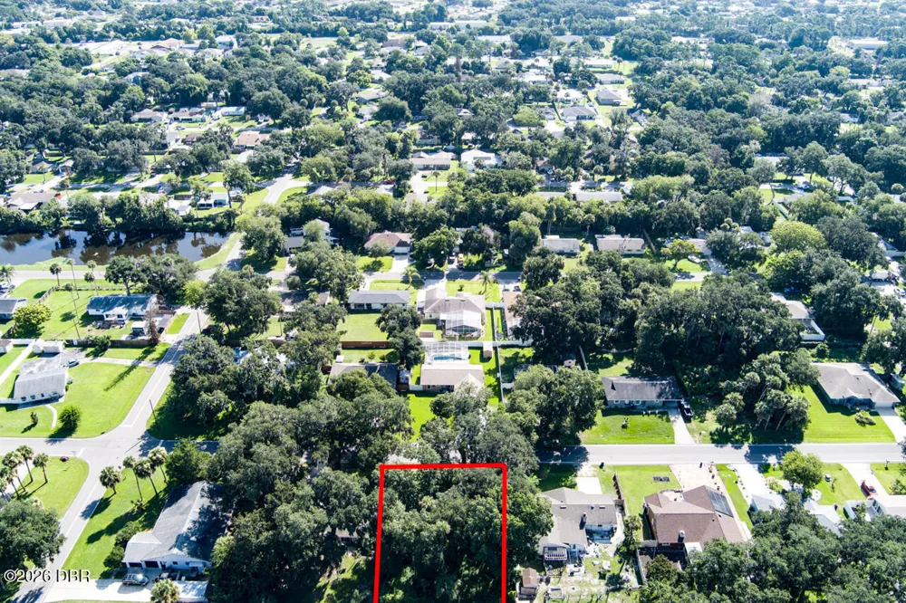 2214 Needle Palm Drive Edgewater, FL 32141