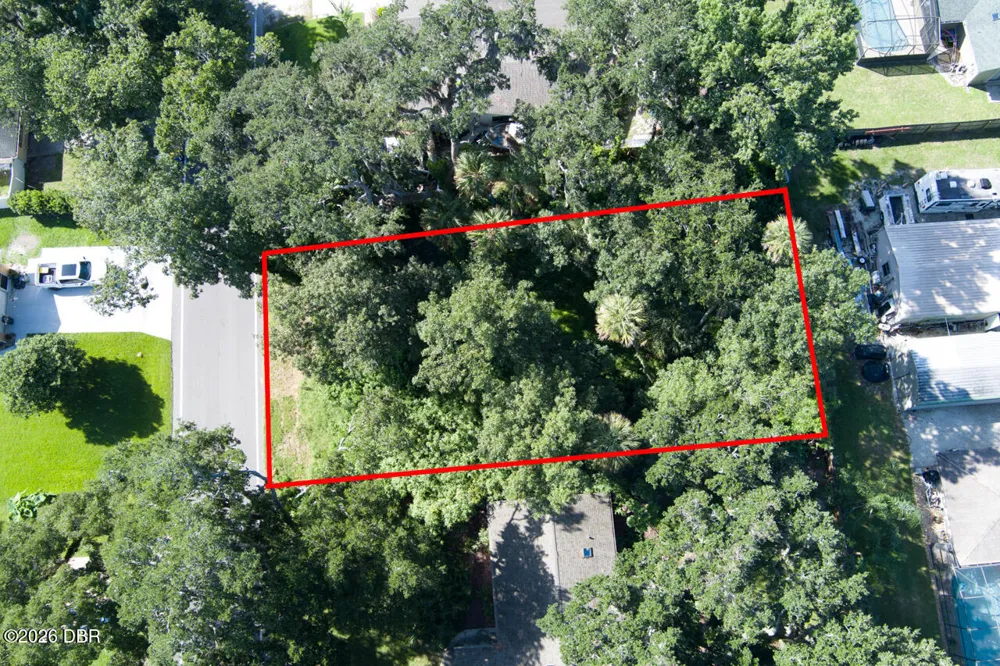 2214 Needle Palm Drive Edgewater, FL 32141