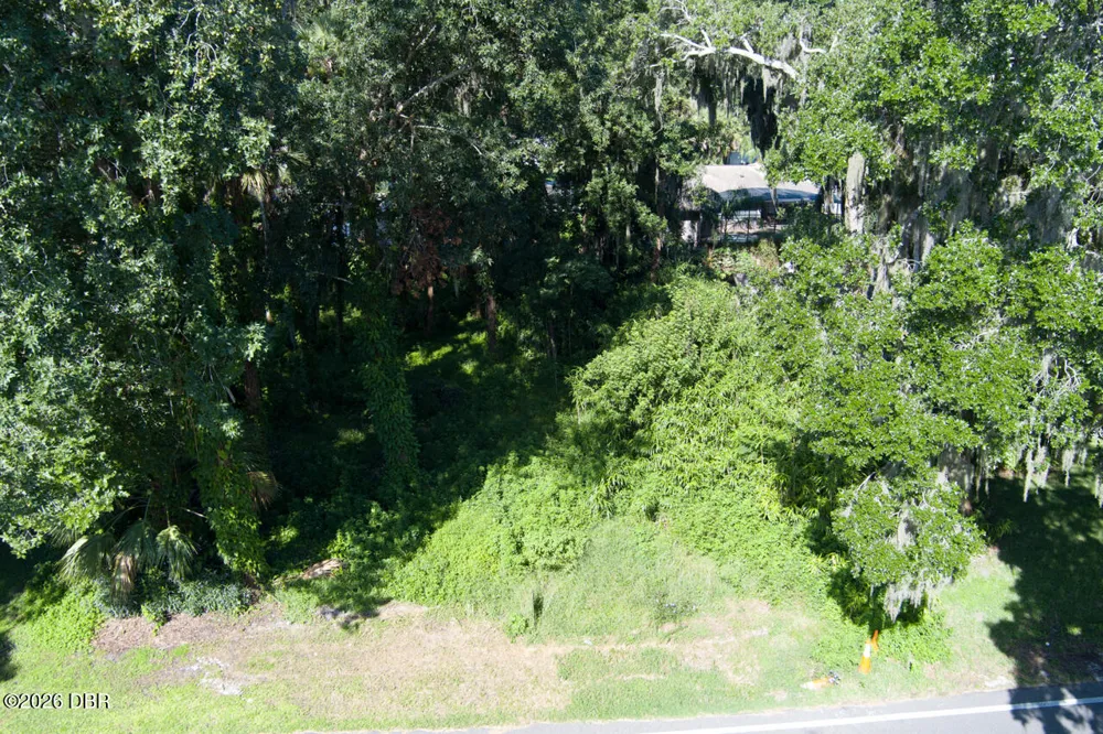 2214 Needle Palm Drive Edgewater, FL 32141