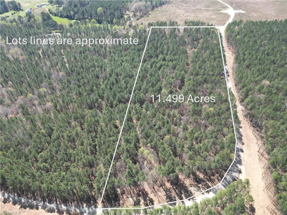 Lot 16 Willie Road Seagrove, NC 27341