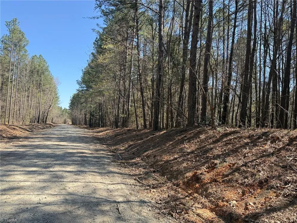 Lot 16 Willie Road Seagrove, NC 27341