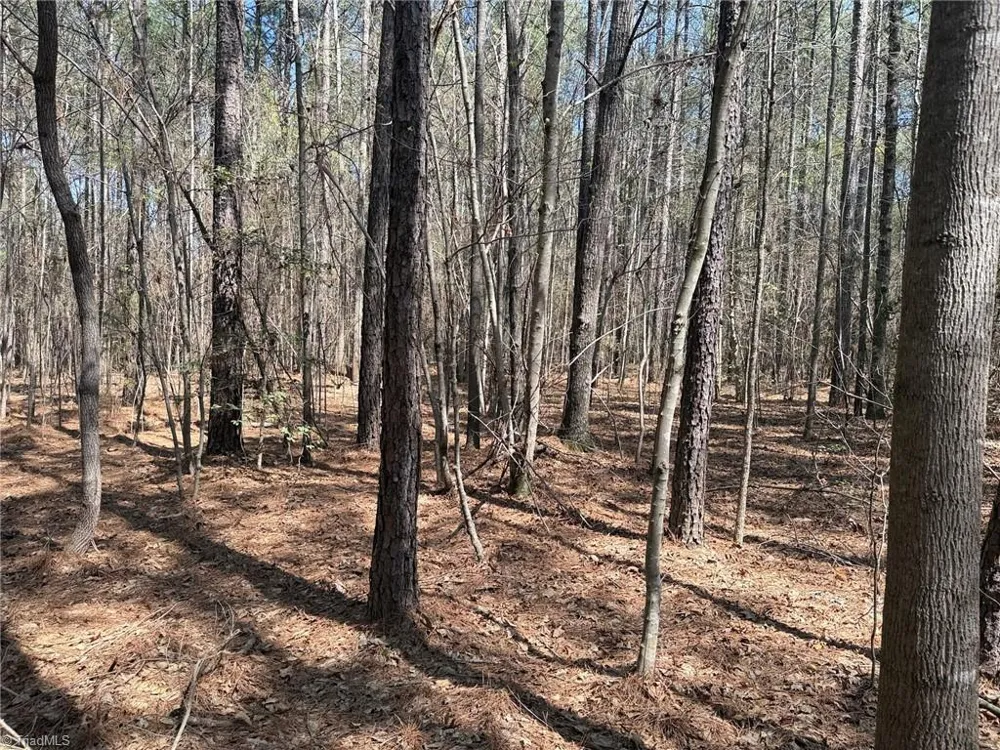 Lot 16 Willie Road Seagrove, NC 27341