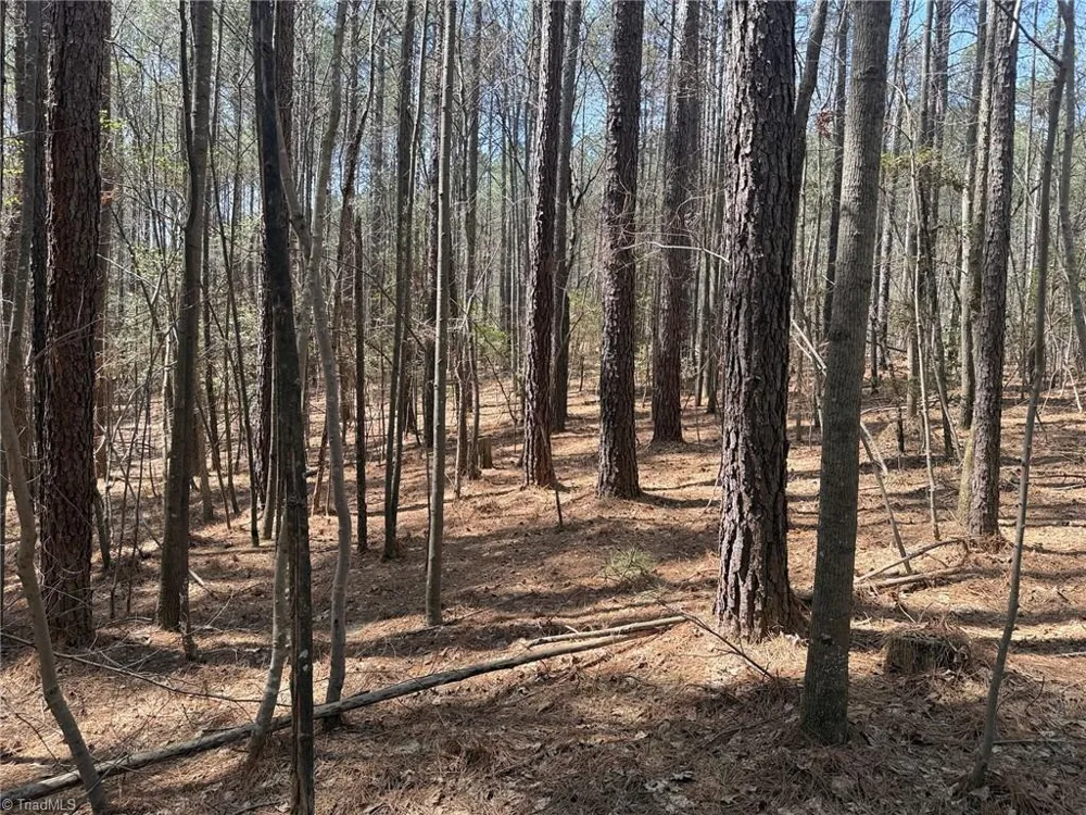 Lot 16 Willie Road Seagrove, NC 27341