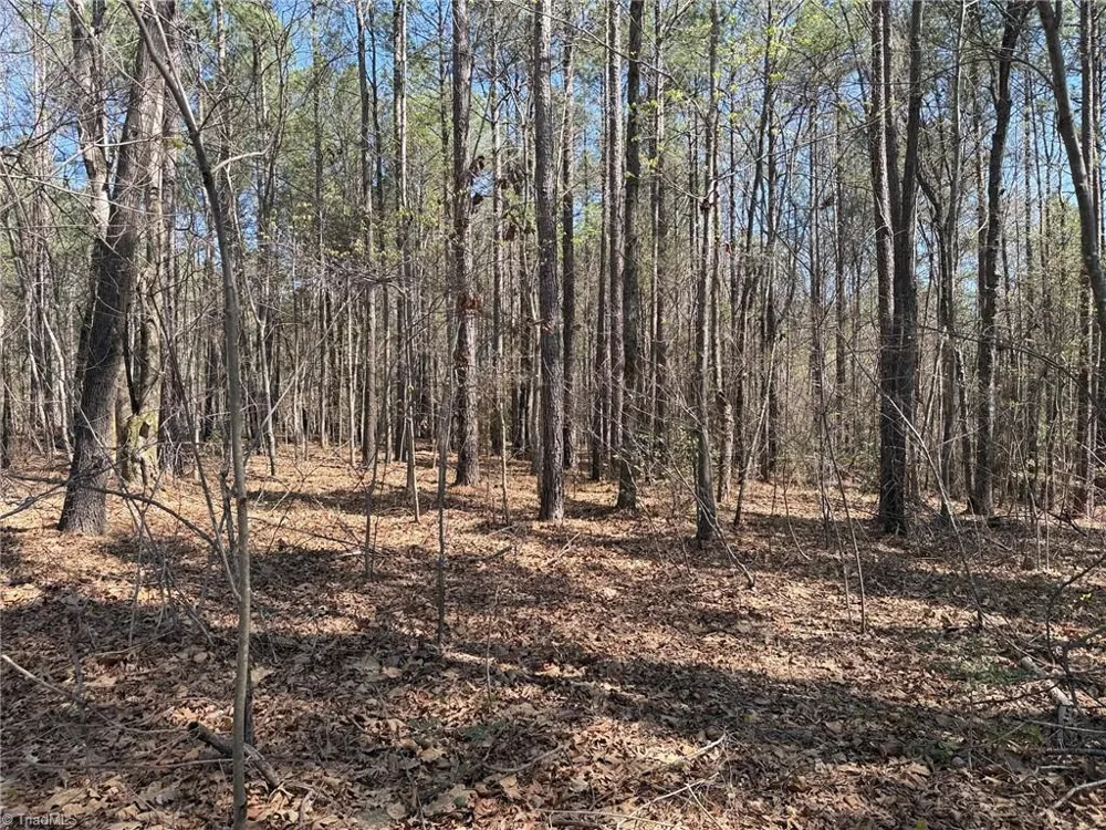 Lot 16 Willie Road Seagrove, NC 27341