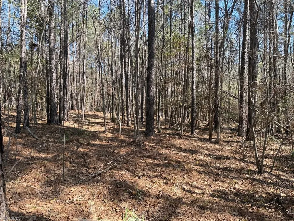 Lot 16 Willie Road Seagrove, NC 27341