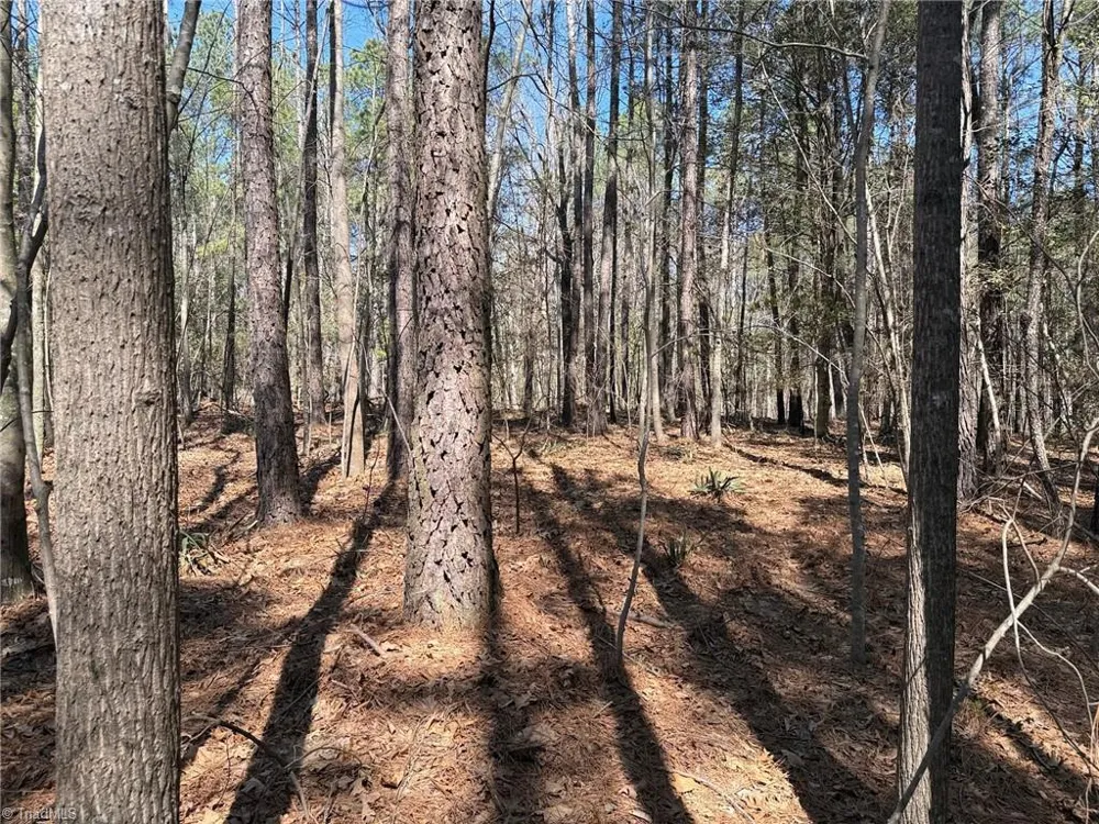 Lot 16 Willie Road Seagrove, NC 27341