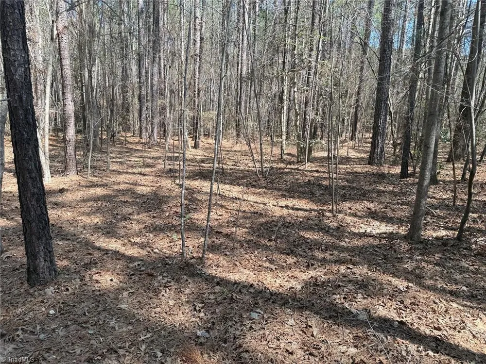Lot 16 Willie Road Seagrove, NC 27341
