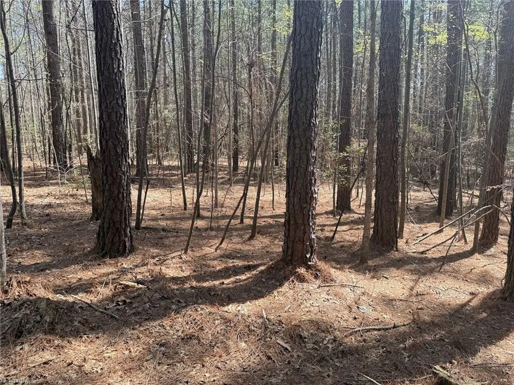 Lot 16 Willie Road Seagrove, NC 27341