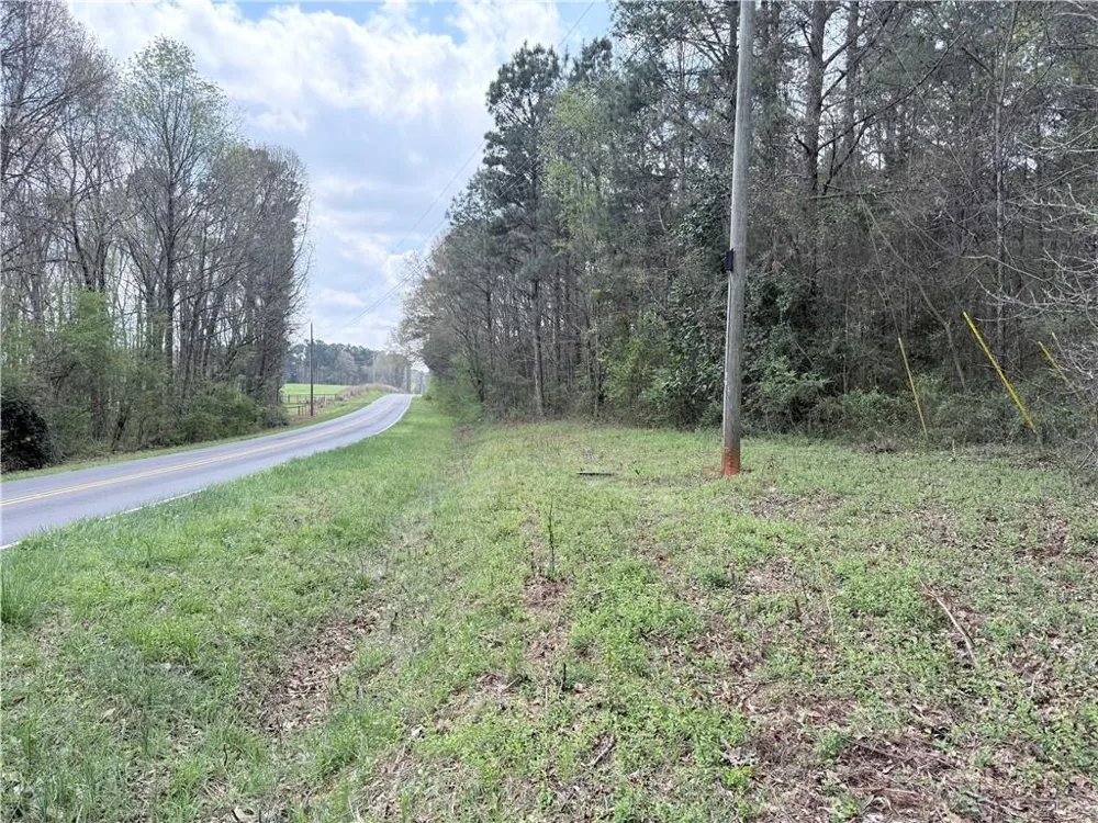 00 Old Columbus Road Bowdon, GA 30108