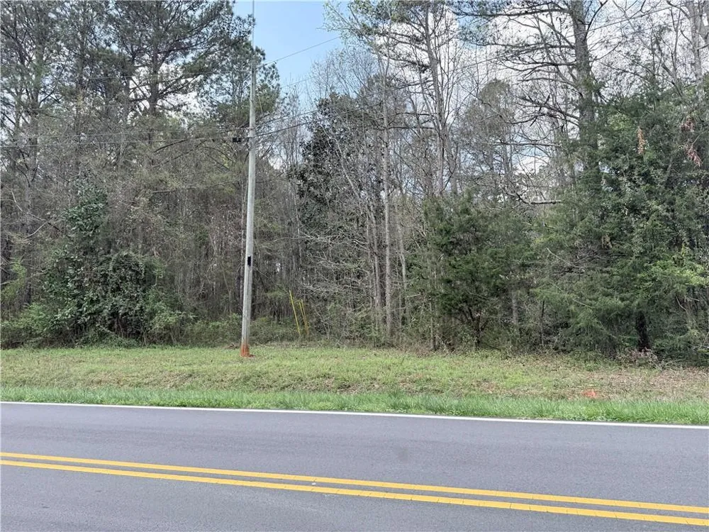 00 Old Columbus Road Bowdon, GA 30108