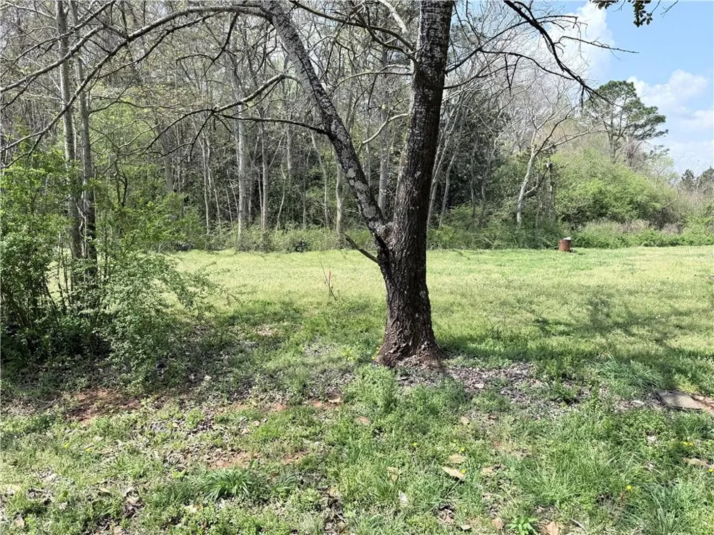 00 Old Columbus Road Bowdon, GA 30108