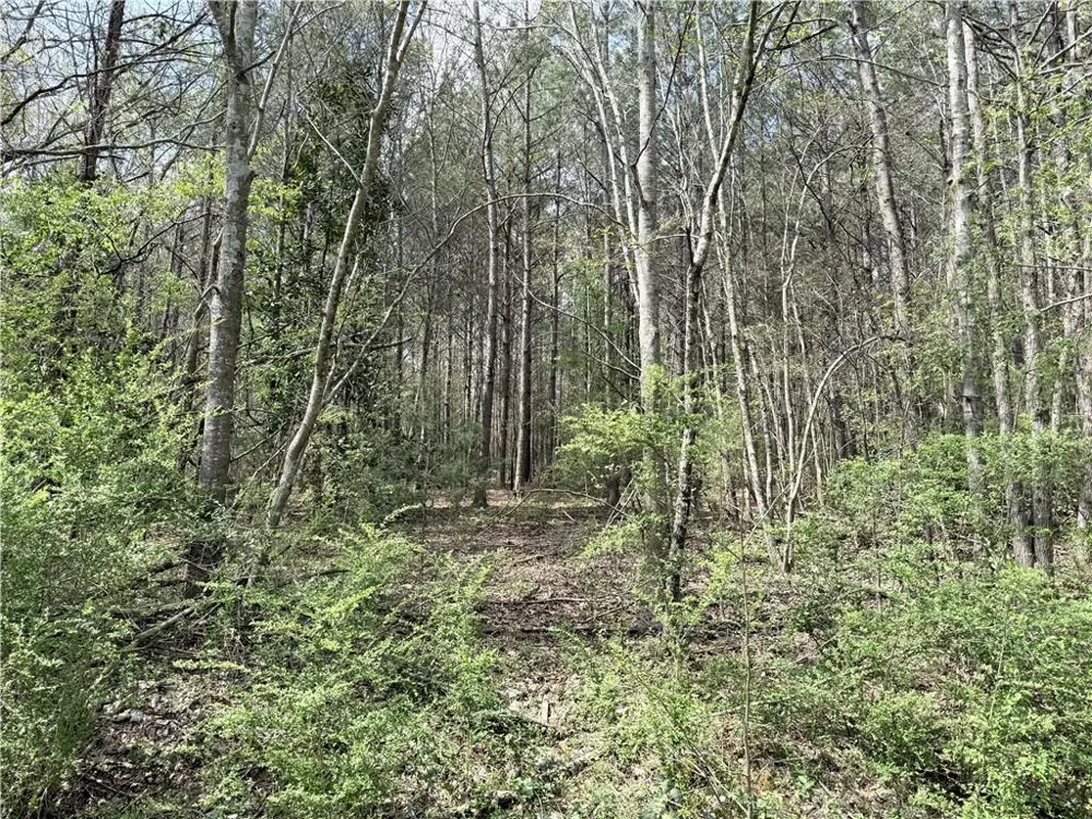 00 Old Columbus Road Bowdon, GA 30108