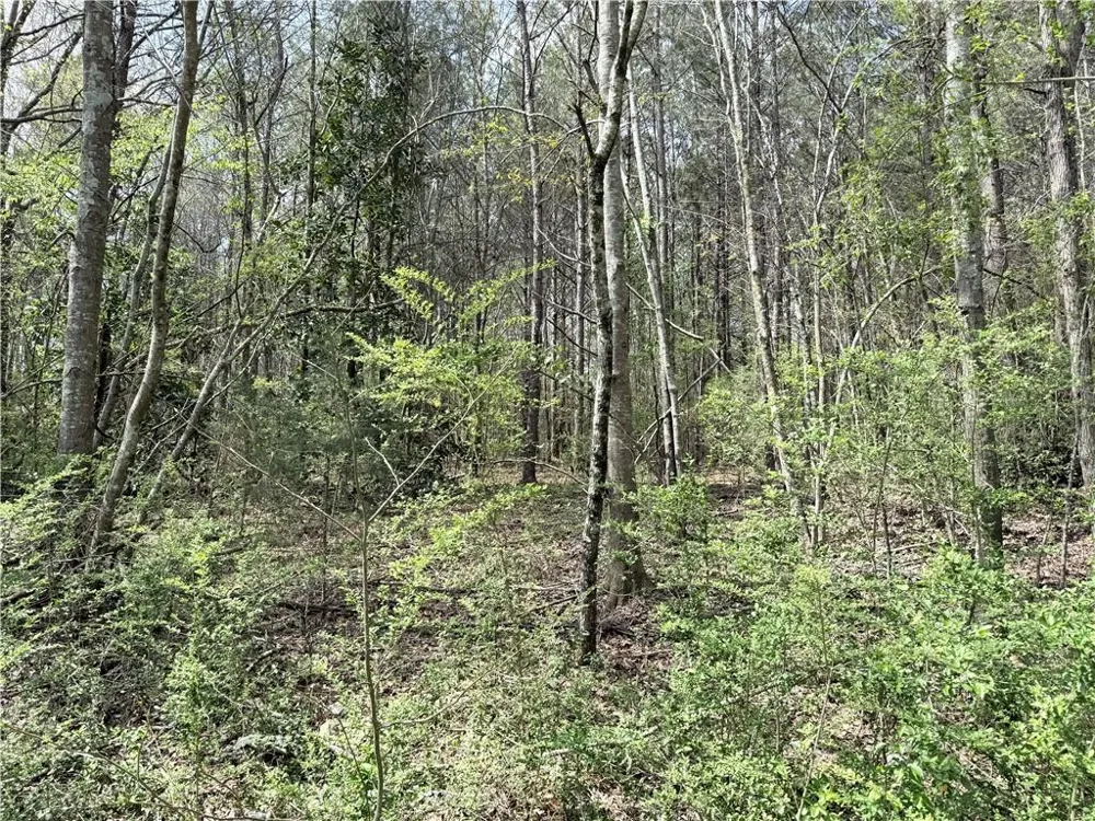 00 Old Columbus Road Bowdon, GA 30108