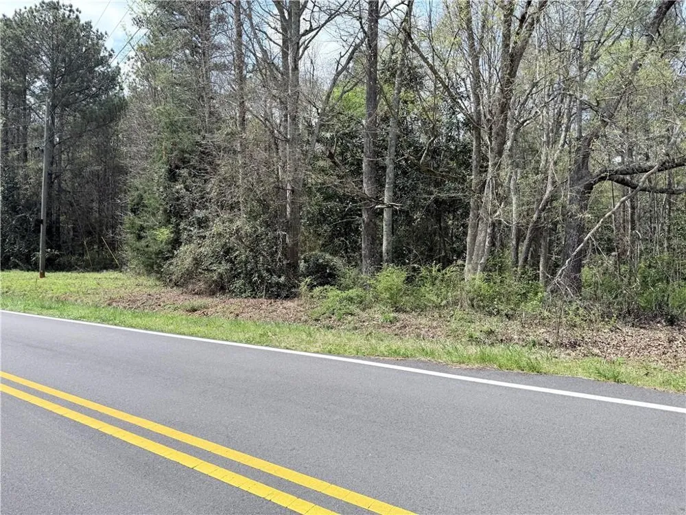 00 Old Columbus Road Bowdon, GA 30108