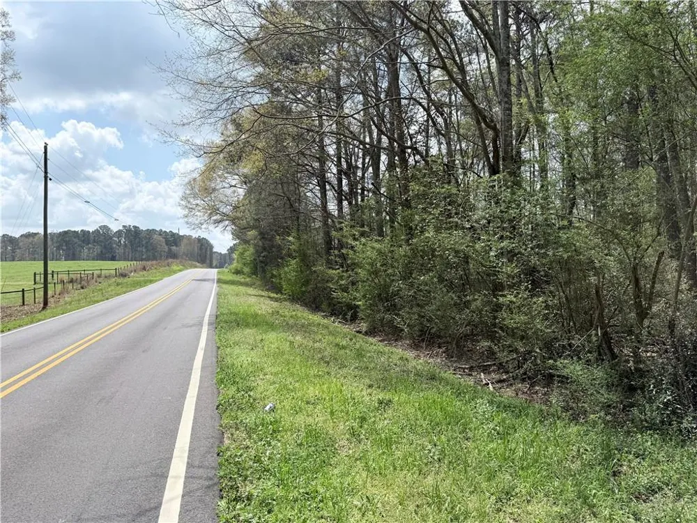 00 Old Columbus Road Bowdon, GA 30108