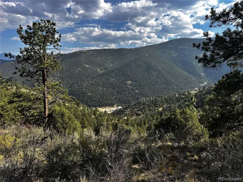 Lot 1 Eagle Mining Claim