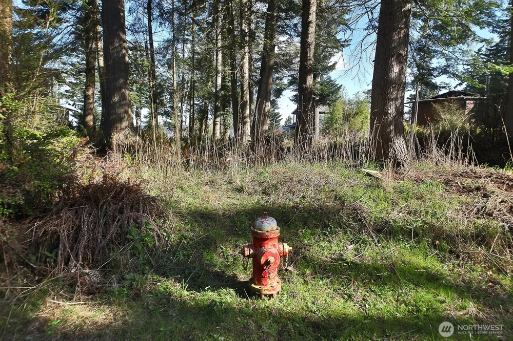 0 Salmonberry Road Langley, WA 98260