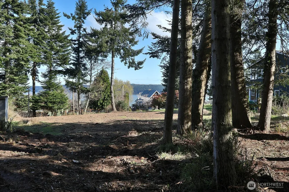 0 Salmonberry Road Langley, WA 98260