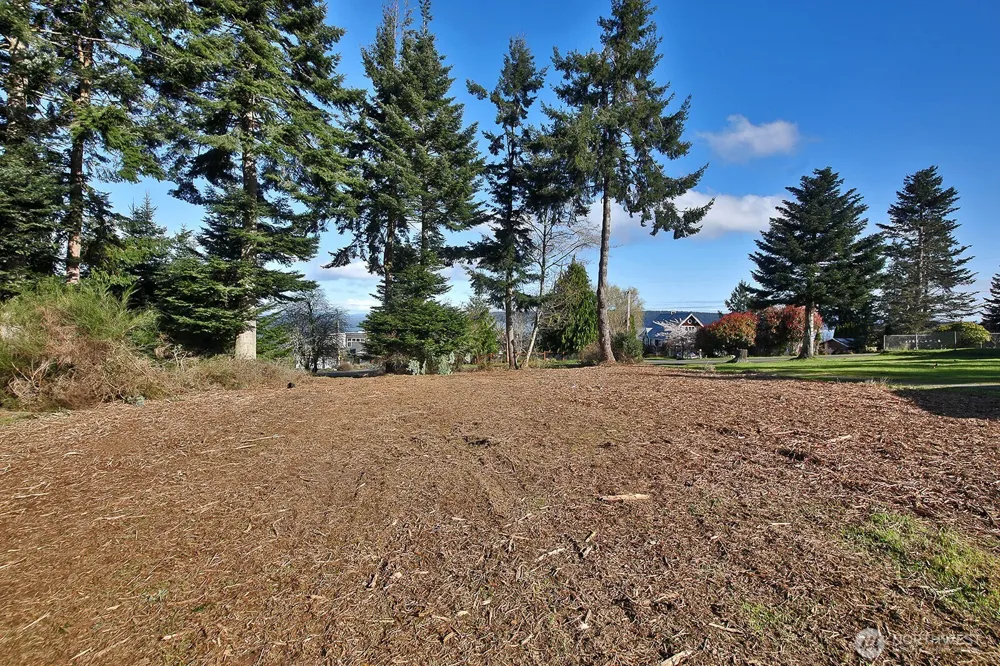 0 Salmonberry Road Langley, WA 98260