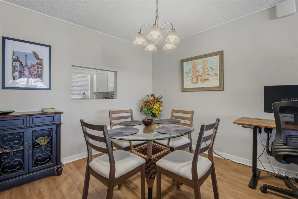 7540 BAY ISLAND DRIVE S #251 South Pasadena, FL 33707