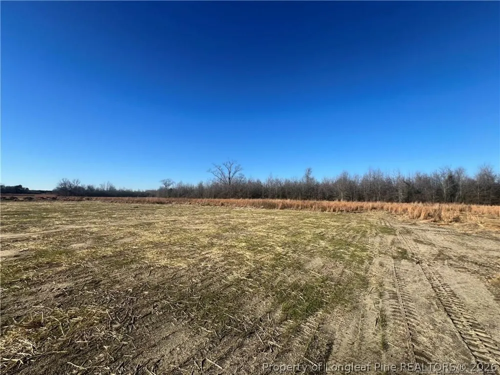 4075 Blue Springs (Lot 13) Road Red Springs, NC 28377