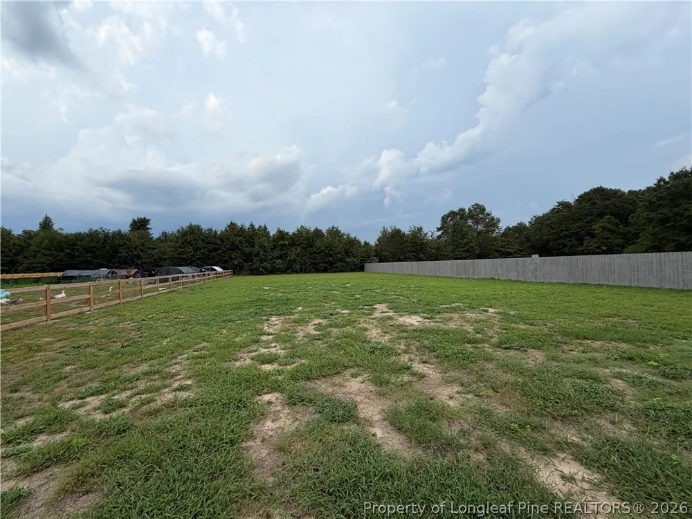 4075 Blue Springs (Lot 13) Road Red Springs, NC 28377