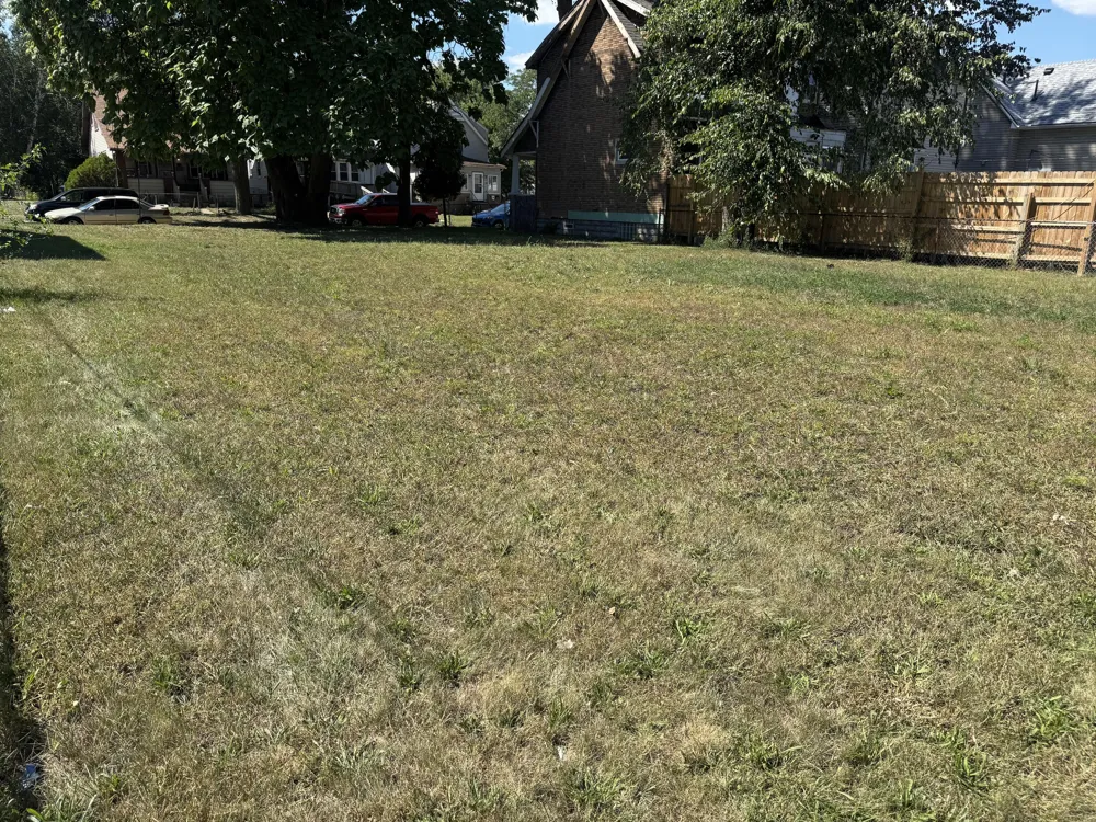 19 Orchard Street River Rouge, MI 48218