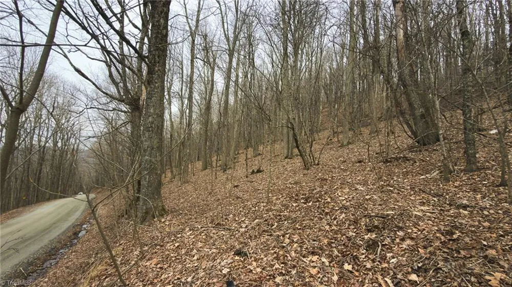TBD Tater Hill Road Boone, NC 28698